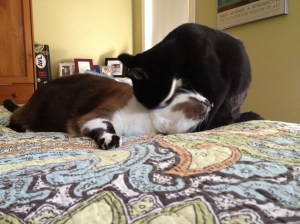 sharing the love. (this devolved into violence not long after photo was taken).