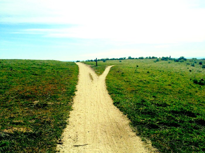 I live in a beautiful place. 