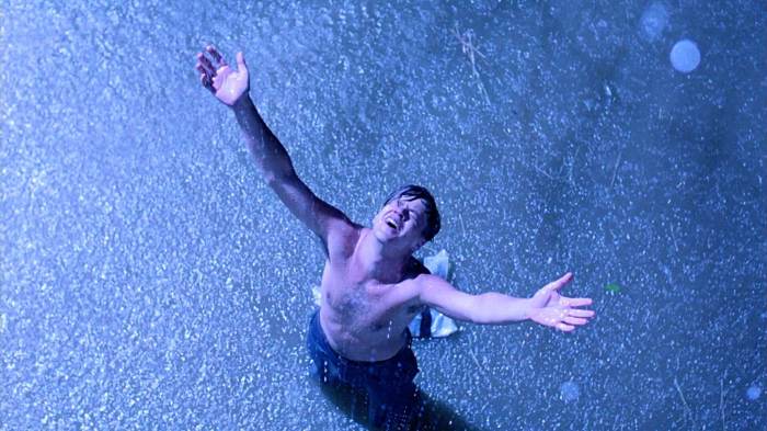 shawshank-redemption-andy-in-the-rain.jpg