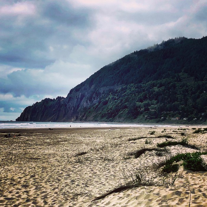 2EE6681B-6506-44F7-887D-841D8840BD4C